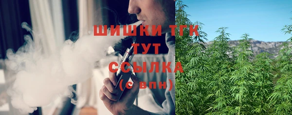 гидра Арсеньев