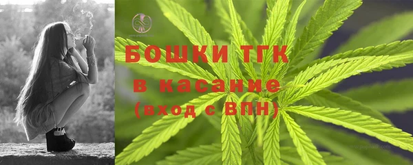 гидра Арсеньев