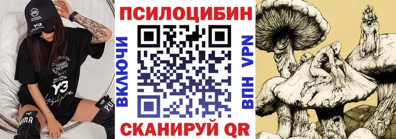 цены   Мосальск  Псилоцибиновые грибы Psilocybine cubensis 